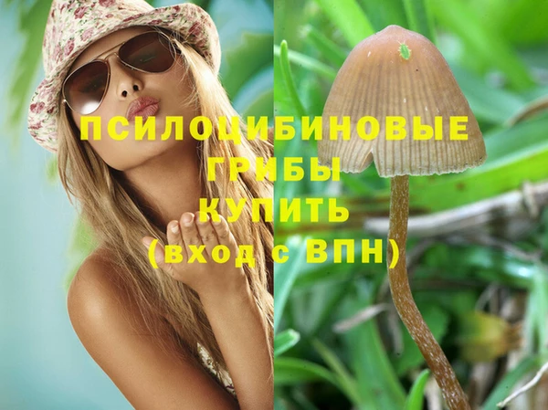 СК Беломорск