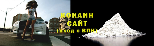 стаф Белокуриха