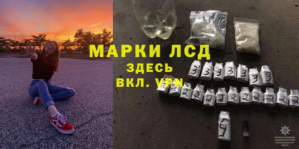 стаф Белокуриха