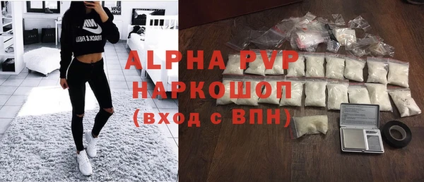 стаф Белокуриха