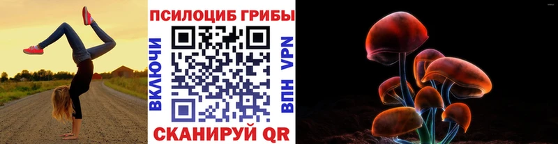 Псилоцибиновые грибы Magic Shrooms  купить закладку  Светогорск 
