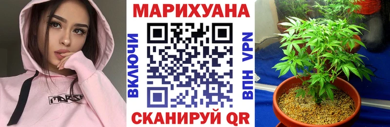 Каннабис конопля  Светогорск 